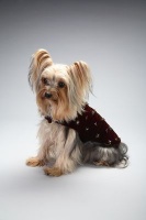 Walnut Coat<br />