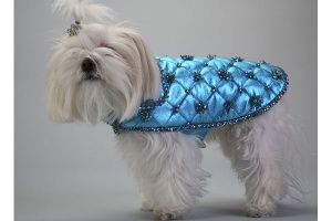 Turquoise Princess Coat<br />