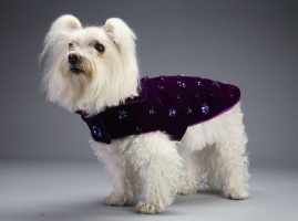 Purple Passion Coat<br />