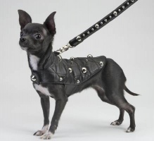 Spike Black Leash<br />Coat and leash sold separately

