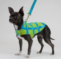 Cool Lime Coat<br />Coat and leash sold separately