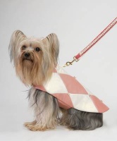 Diamond Rose Coat<br />Coat and leash sold separately