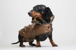 Bronzed Coat