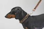 Bronzed Collar