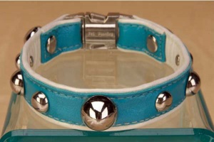 Spike Turquoise Collar<br />