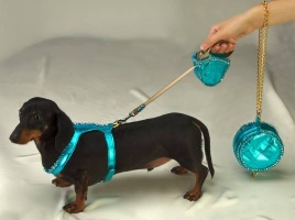 Turquoise Jewel Walking Bag<br />Harness, leash and bag sold separately