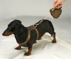 Bronze Retractable Leash<br />Harness and leash sold separately