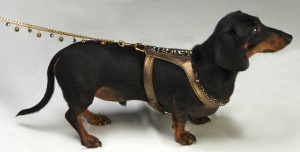 Bronze Harness<br />Harness and leash sold separately