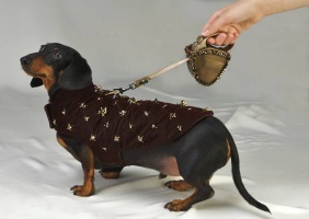 Bronze Retractable Leash<br />Coat and leash sold separately
