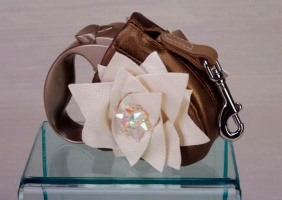Fall Flowers Retractable Leash<br />