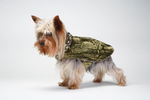 Olive Posh Coat<br />