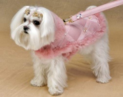 Powder Puff Pink Coat<br />Leash available separately