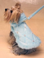 Powder Puff Blue Coat<br />Leash available separately