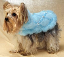 Powder Puff Blue Coat<br />
