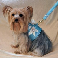 Bluebell Vest<br />Leash available separately