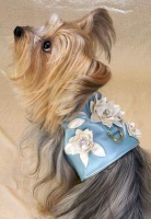 Bluebell Vest<br />
