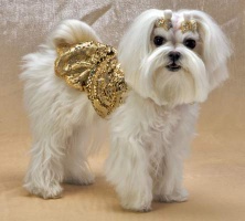 Baroque Flounce<br />