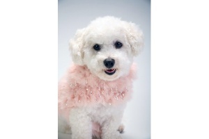 Pink Funk Coat<br />