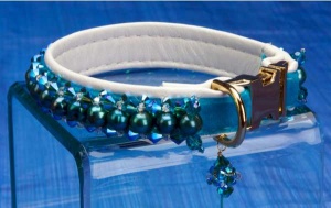 Sky Collar<br />