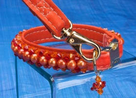 Paprika Collar<br />Leash sold separately