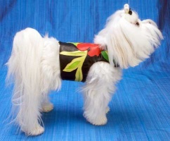 Tropics Black Harness Vest<br />