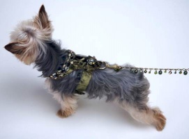 Olive Renaissance Leash<br />Harness and Leash sold separately