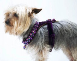 Plum Renaissance Harness<br />