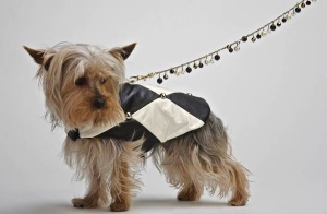 Jazz Coat<br />Coat and leash sold separately<br />
Shown with Animal Melange Leash