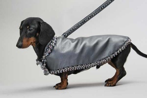 Slate Posh Pearl Coat<br />Coat and leash sold separately