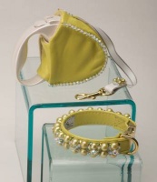 Wasabi Retractable Leash<br />Collar and leash sold separately