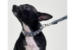Slate Posh Pearl Collar