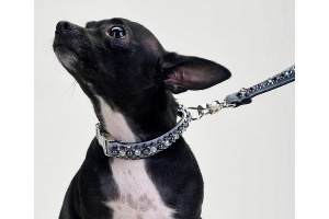 Slate Posh Pearl Collar<br />Collar and leash sold separately