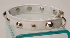 Spike White Collar<br />