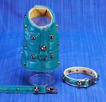 Spike Turquoise Collar<br />Coat, collar and leash sold separately