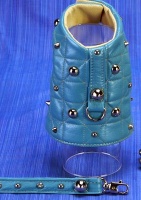 Spike Turquoise Leash<br />Vest and leash sold separately