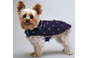 Ultraviolet Pyramid Coat<br />