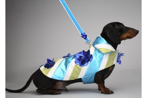 Blue Bouquet Coat<br />Coat and leash sold separately