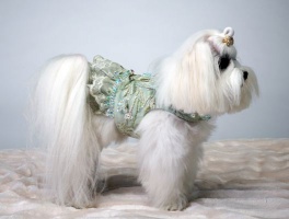 Seafoam Flounce<br />