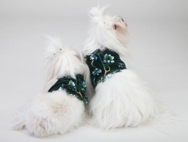 Pine Mist Vest<br />