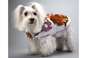 Flower Power Coat<br />