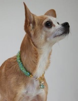 Peridot<br />Crystal Cascade Necklace<!--Dogs--><br />