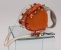 Desert Sun<br />Flexi Petite Elegance Retractable Leash