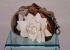 Fall Flowers Retractable Leash