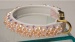 Shell Collar Shell Collar