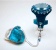 Turquoise Renaissance<br />Covered Retractable Leash