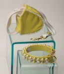 Wasabi Retractable Leash