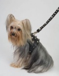 Spike Black Harness