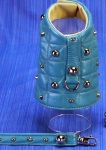 Spike Turquoise Harness