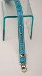 Spike Turquoise Leash